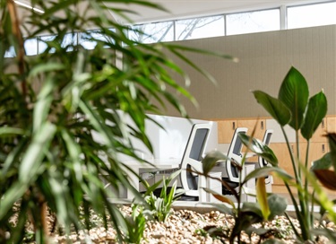 Hot-desks-and-plants-inside-Fairfield-City-HQ.jpg