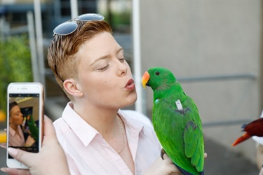 Young person leaning in to kiss green parrot, posing for a photo