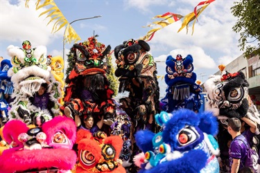 Lions at Cabramatta Moon Festival 2022
