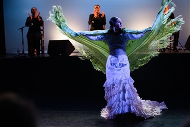 Pepa Molina Flamenco Dance Sydney