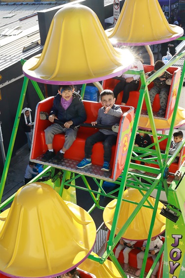 Two young children smiling while riding small green ferris wheel