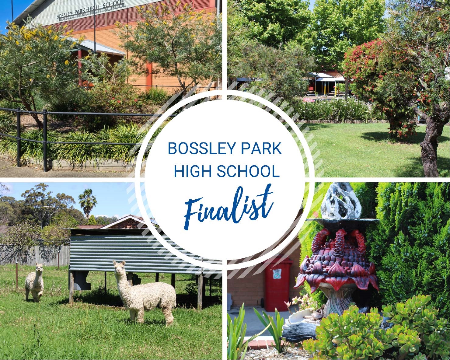 School Garden of the Year Finalist 2022 - Bossley Park High School