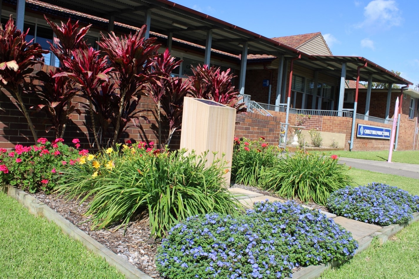 School Garden of the Year 2022 - Canley Vale Public School