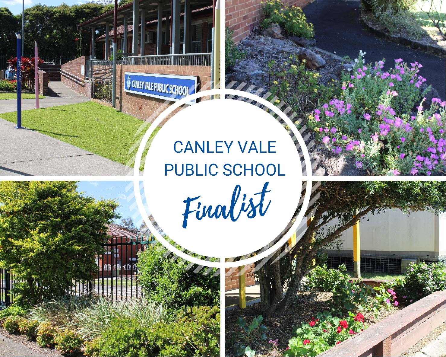 School Garden of the Year Finalist 2022 - Canley Vale Public School photo collage
