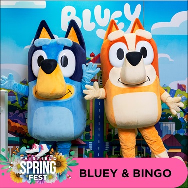 Bluey & Bingo