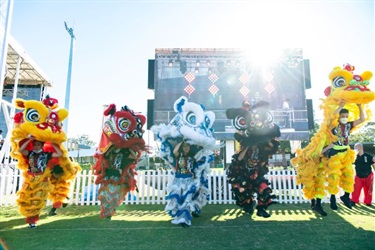 Performers dancing in 5 lion dancing costumes