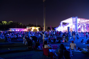 A crowd of people watching the stage