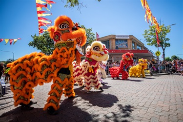 Group of lion dancers with orange, white, red and yellow costumes perform for crowd of guests