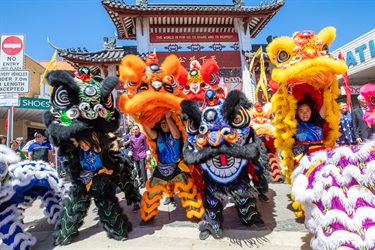 Lion dancers in blue, black, orange, red, yellow and purple costumes performing at Freedom Plaza