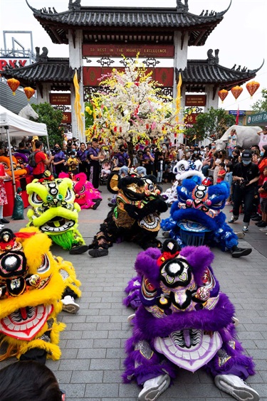 Colourful Lion dance performance(pink, blueish grey, white, lime, black, blue, yellow and purple) in front of Pai Lau gate in freedom plaza with a crowd