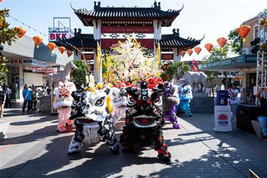 Seven lion dancers (pink, white, yellow, black and red, white and black, purple, blue) in front of the Pai Lau gate at Freedom Plaza.