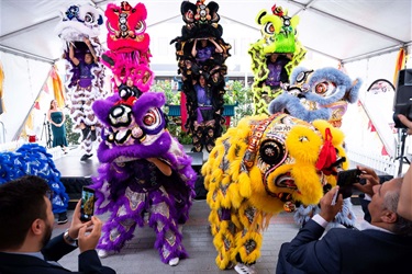 Colourful lion dance performance (white, pink, black, lime, blue, purple yellow, blueish grey) on stage at Freedom plaza