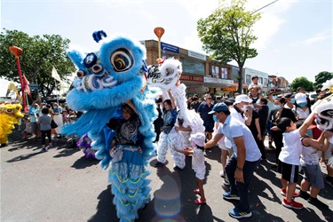 A blue and a white lion dancers performing for a crowd while a young girl is encouraged to touch the fur of the blue lion dancers costume.