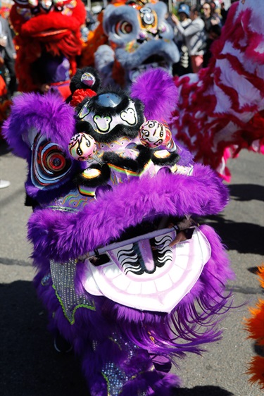 Close up of the head of a purple lion dancing puppet