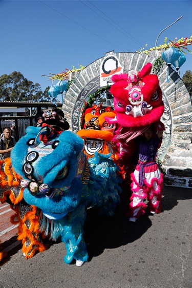 Lion dancers in orange, pink and blue costumes through District 8 archway