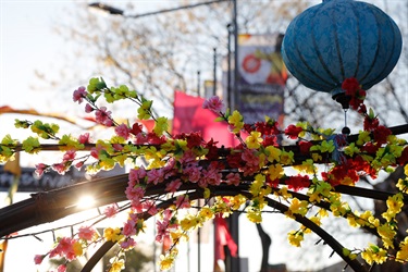 Close up of yellow and pink blossoms decorations