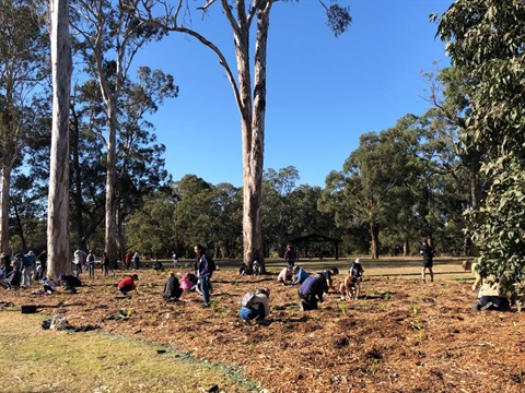 community residents planting trees and shrubs on national tree day