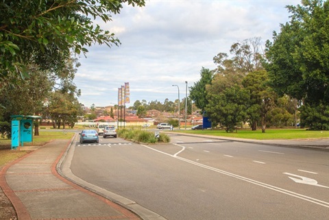 Photo of road and cars with cars and trees