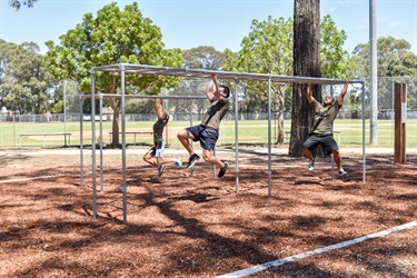 Monkey bars at Fairfield Park