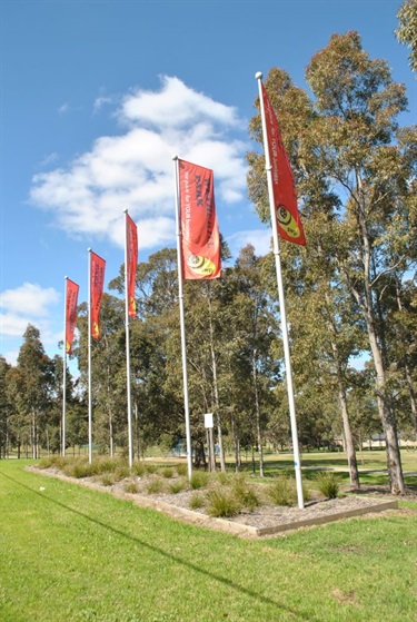 Flags with writing saying Wetherill Park, the place for your business