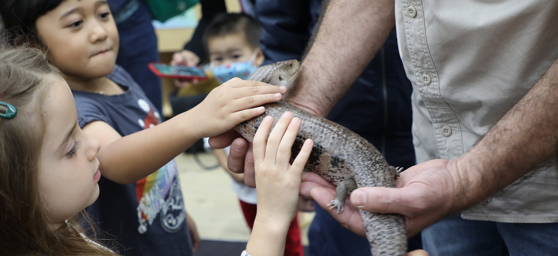 Young children holding a snake at a Feature Creatures show text reads what's on March to May 2022 Autumn