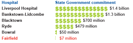 Pictorial graph describing the State Government’s monetary commitment to each hospital. The data is described in the table below.