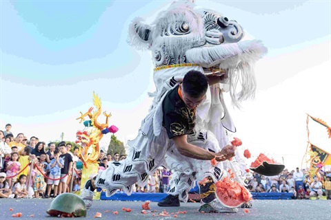 2024 Lunar New Year in Canley Heights - Jing Yee Lion Dance performance