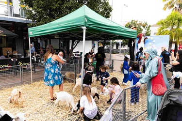 Petting zoo in Thomas Ware Plaza, Fairfield