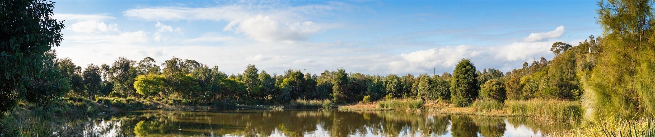 Scenic view of trees, river and sky on Spirit of Bonnyrigg Cultural walk