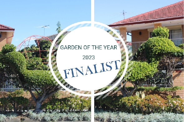 2023 Garden of the Year Finalist - Hoa Giao Nguyen and Cam Van Tran