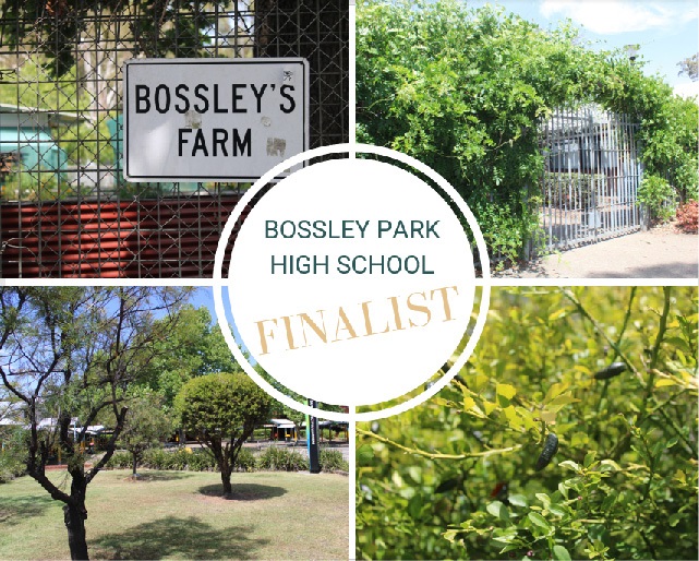 2023 School Garden of the Year Finalist - Bossley Park High School