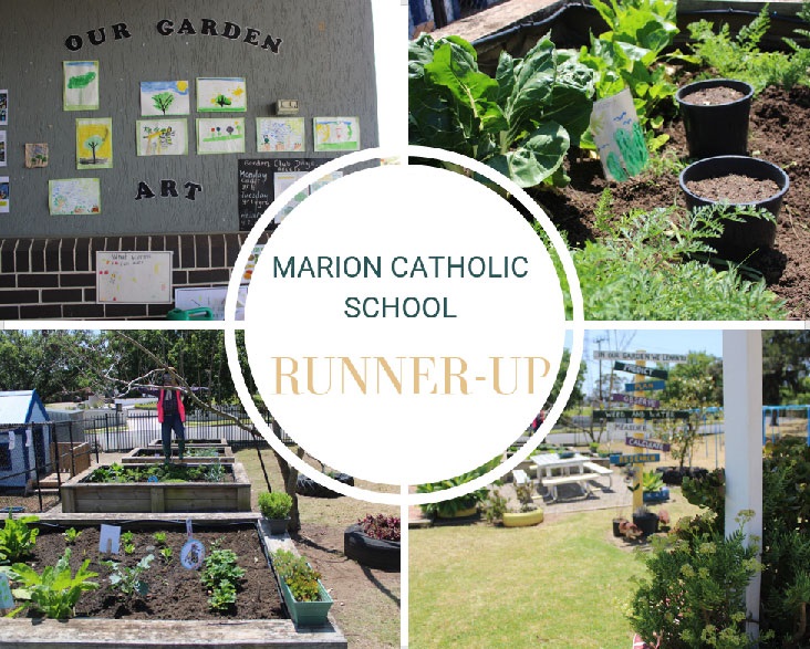 2023 School Garden of the Year Runner Up - Marion Catholic School