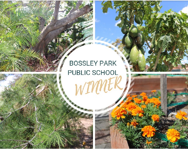 2023 School Garden of the Year Winner - Bossley Park Public School