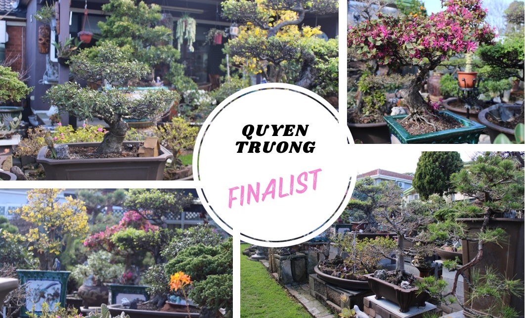 2024 Residential Garden of the Year Finalist – Quyen Truong