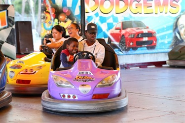 Dodgems ride