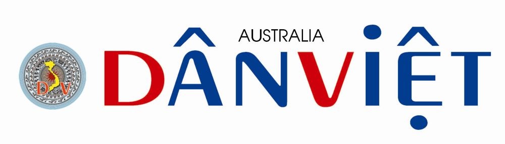 Dan Viet logo