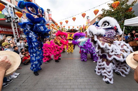 Colourful lion dancers performing for a crowd at Freedom Plaza