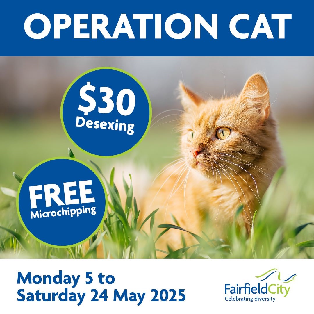Operation Cat 2025.