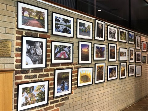 Capture Fairfield winning images on display at Council Chambers