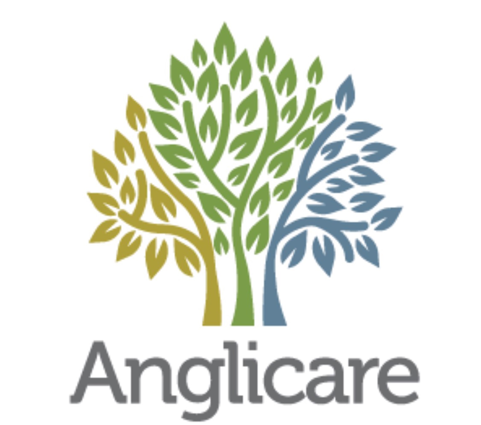 Anglicare logo