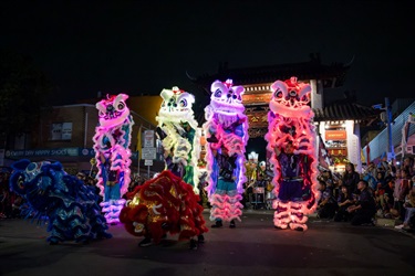 Colourful dancing lions standing at night
