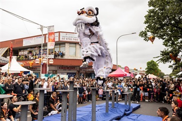 White lion dancer on the high with crowd