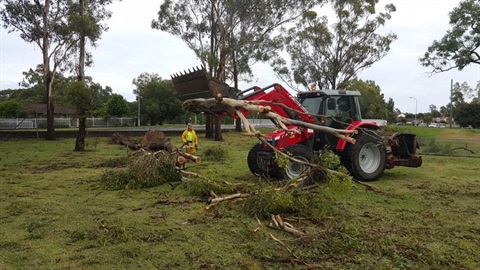 Tractor lifting tree and tree debris on grassed area