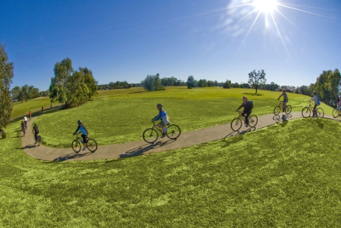 Group of bicyclist riding in a single line on the bike path 